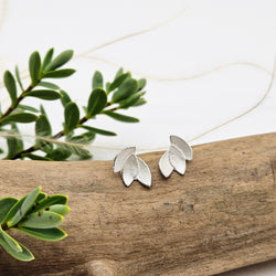 Eucalyptus Leaves Silver Stud Earrings