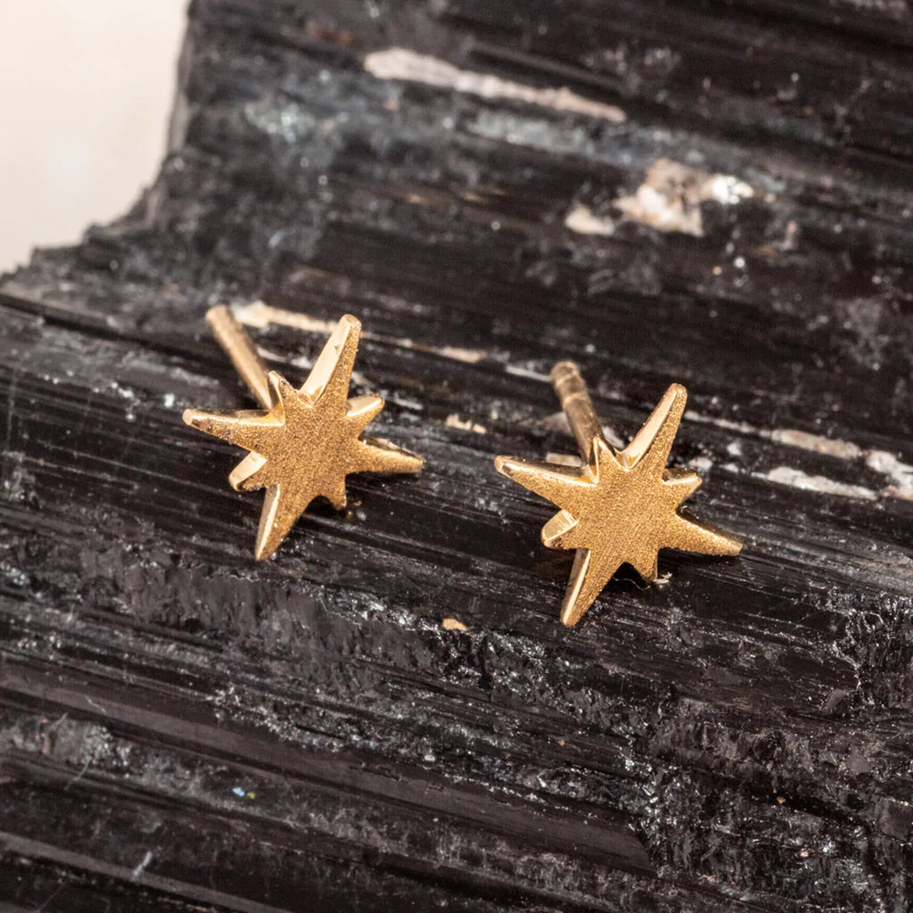 Star 2025 silver earrings