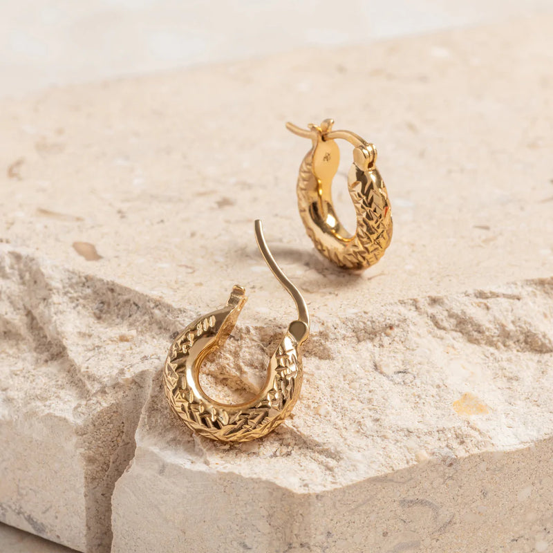 Vermeil gold hoop online earrings