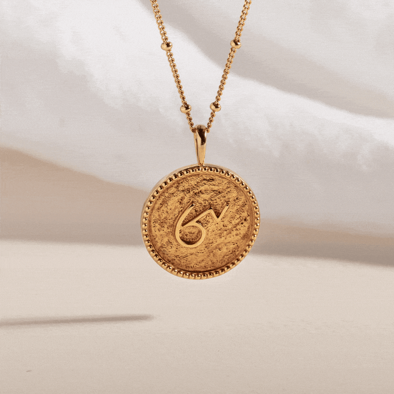 "BRAVE" SHORTHAND GOLD VERMEIL COIN NECKLACE