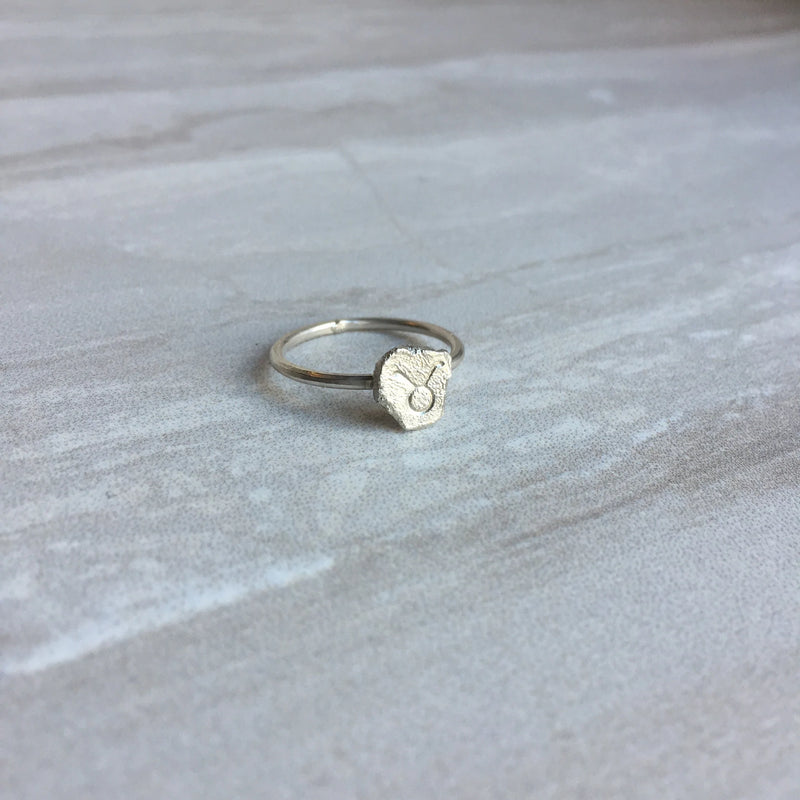Zodiac Silver Ring