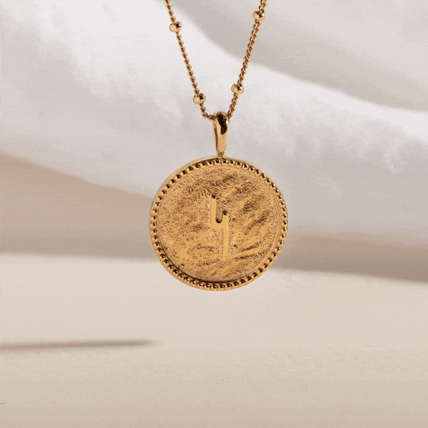 "HOPE" SHORTHAND GOLD VERMEIL COIN NECKLACE