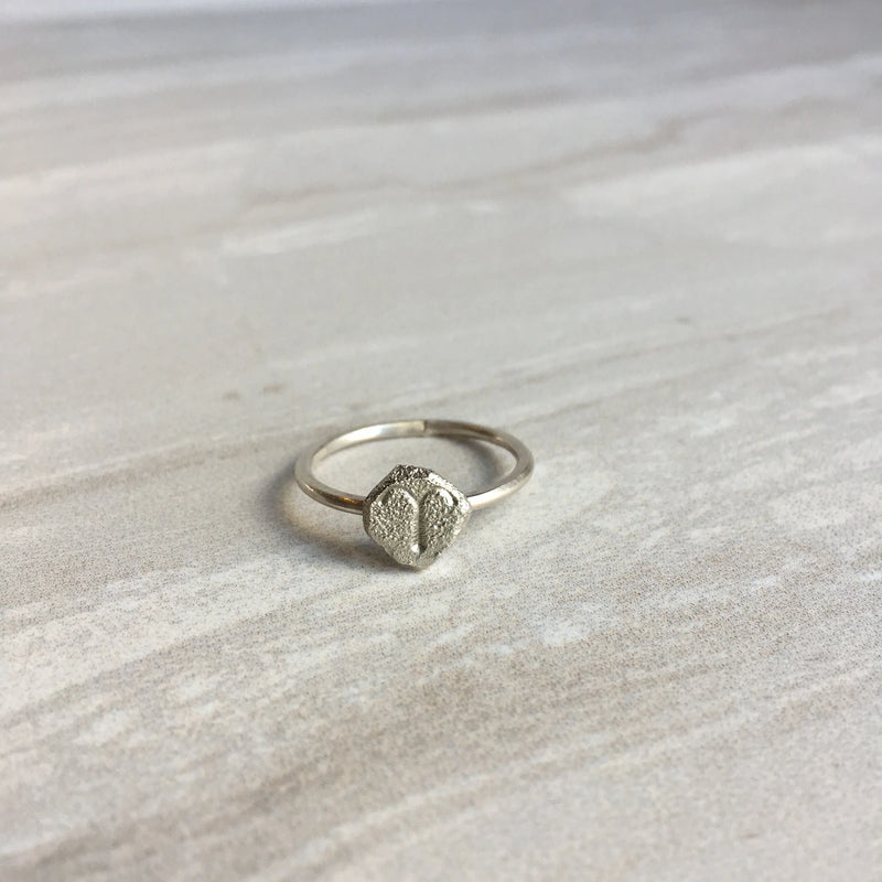 Zodiac Silver Ring