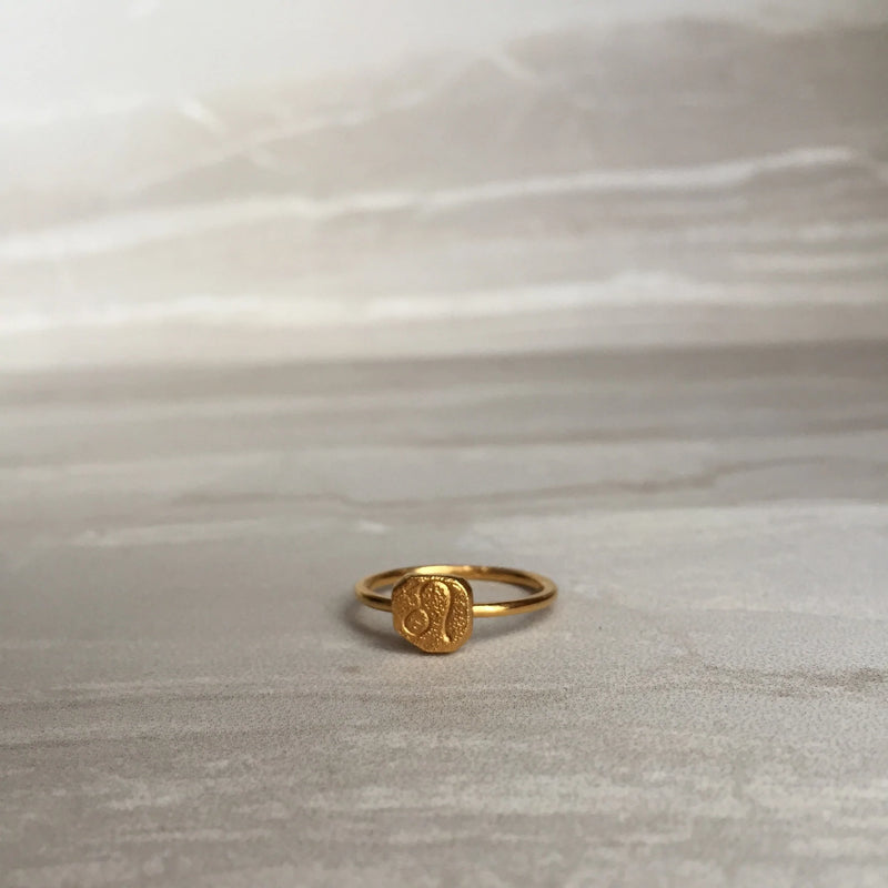 Zodiac Silver Ring