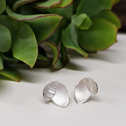 Small Orchid Leaf Stud Earrings - Silver