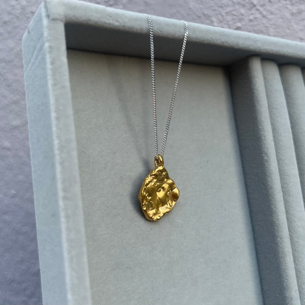 Cave Coin Style 23ct Yellow Gold Plated Silver Pendant Necklace